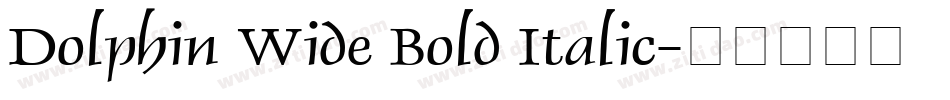 Dolphin Wide Bold Italic字体转换